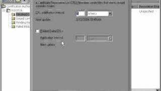 70-293 ca_crl.avi