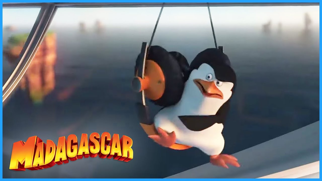 ⁣DreamWorks Madagascar | Mess With The Bull You're Gonna Get The Horns | Penguins of Madagascar 