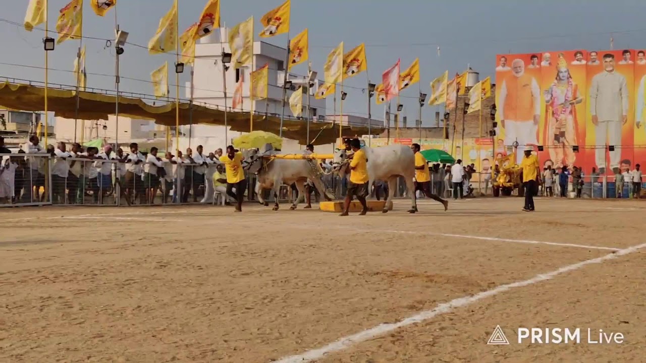 చిలకలూరి పేట గ్రామం||2పల్ల విభాగం 18వ జత 19-1-2026💥💥