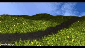 Realistic Grass in OpenGL