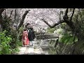 Walking the Philosopher&#39;s Path in Kyoto