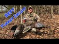 Avain X Turkey Decoy Review and Set Up