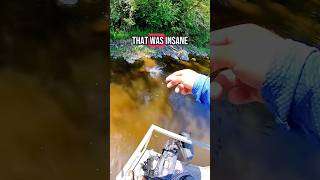 Crazy smallmouth top water eat!