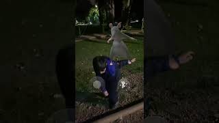 Baile de la rata