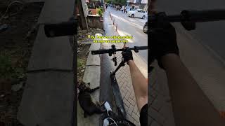 Ama Neden