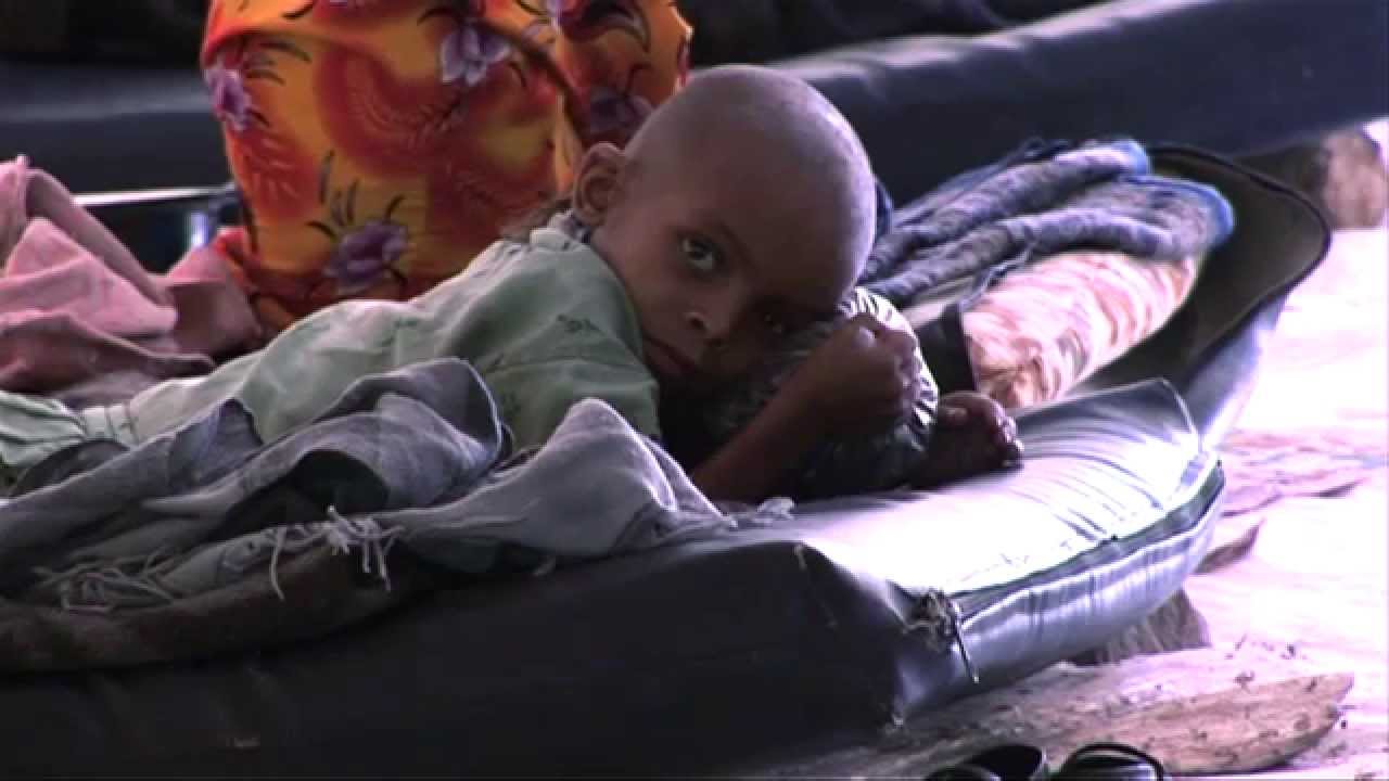 On the track of the deadly parasite Leishmania