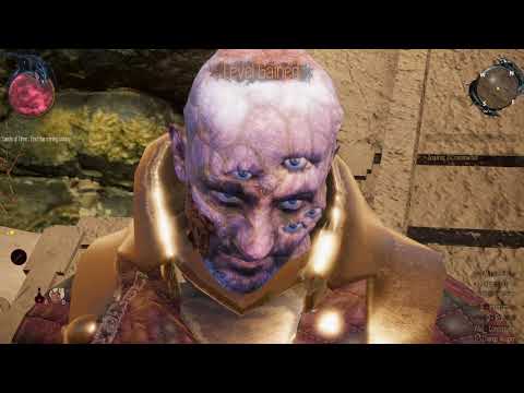 Tides of Existence gameplay - Early Acces - A budget Gothic + Witcher - RPG gem but with bugs