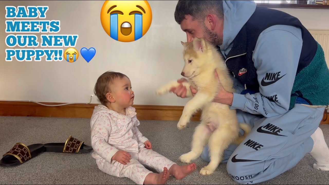 Baby Meets Our New Husky Puppy!!!😭💖. [INSTANTLY FALLS INLOVE!!]
