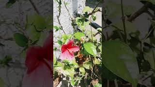 Featured post 8