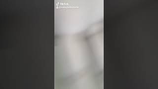Tik tok count to 3