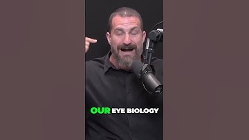 Maximizing Light Exposure The Key to a Balanced Circadian Rhythm #shorts #hubermanlab