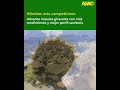 Este Sábado 23 de Mayo en AgroTv