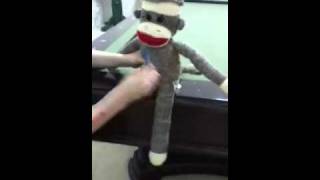 Sock monkeys gay balls