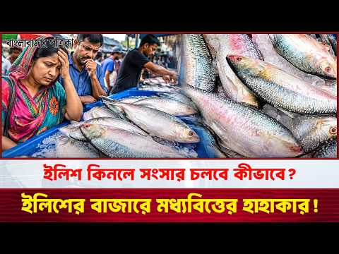 Hilsa Fish Out of Reach for Buyers | Hilsa Fish Price Update