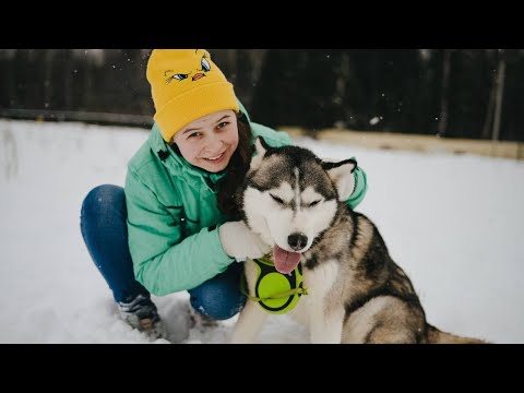 Полезная программа форума