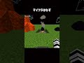 マイクラはやっぱり謎