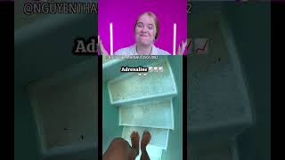 You Laugh, You Lose 😅 2217 #funny #viralvideo #shorts