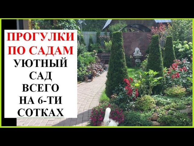 Архитектор Илья Васецкий - сайт ландшафтных работ