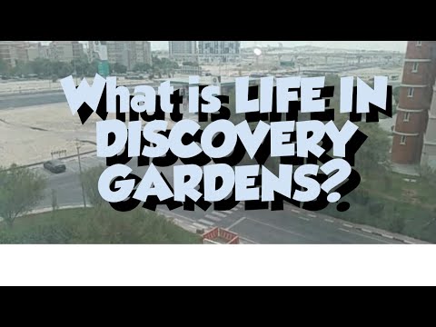 what’s-life-in-discovery-garde