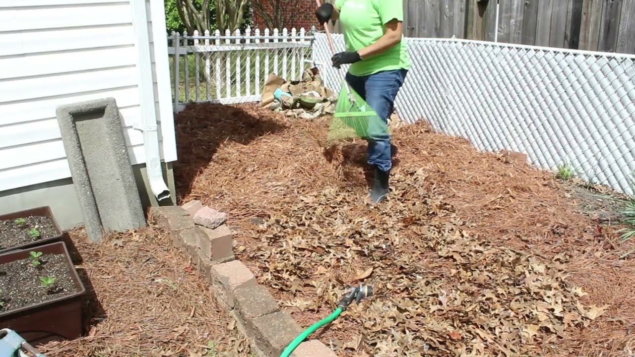 The Hampton Roads Gardener: Can I Plant Yet?!