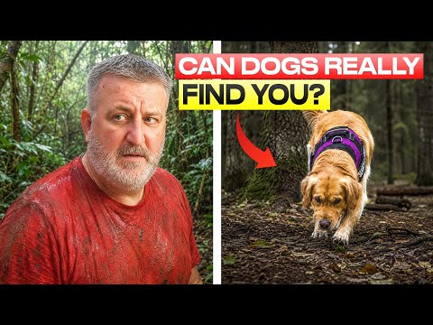 How Search Dogs Are Trained To Find Missing People: EXCLUSIVE Inside Look