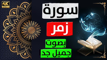 إبداع  موفق في تلاوة سورة الزمر صوت خيالي يأخذك إلى عالم آخر يرتل آيات من سورة  الزمربصوت سمير بارود