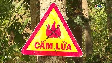 Tăng cường công tác phòng chống cháy rừng mùa khô 2024 - 2025 | BRTgo