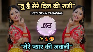 Tu Hai Mere Dil Ki Rani Mere Pyar Ki Jawani Dj Song Remix | Instagram Trending Song | Its Sg Style