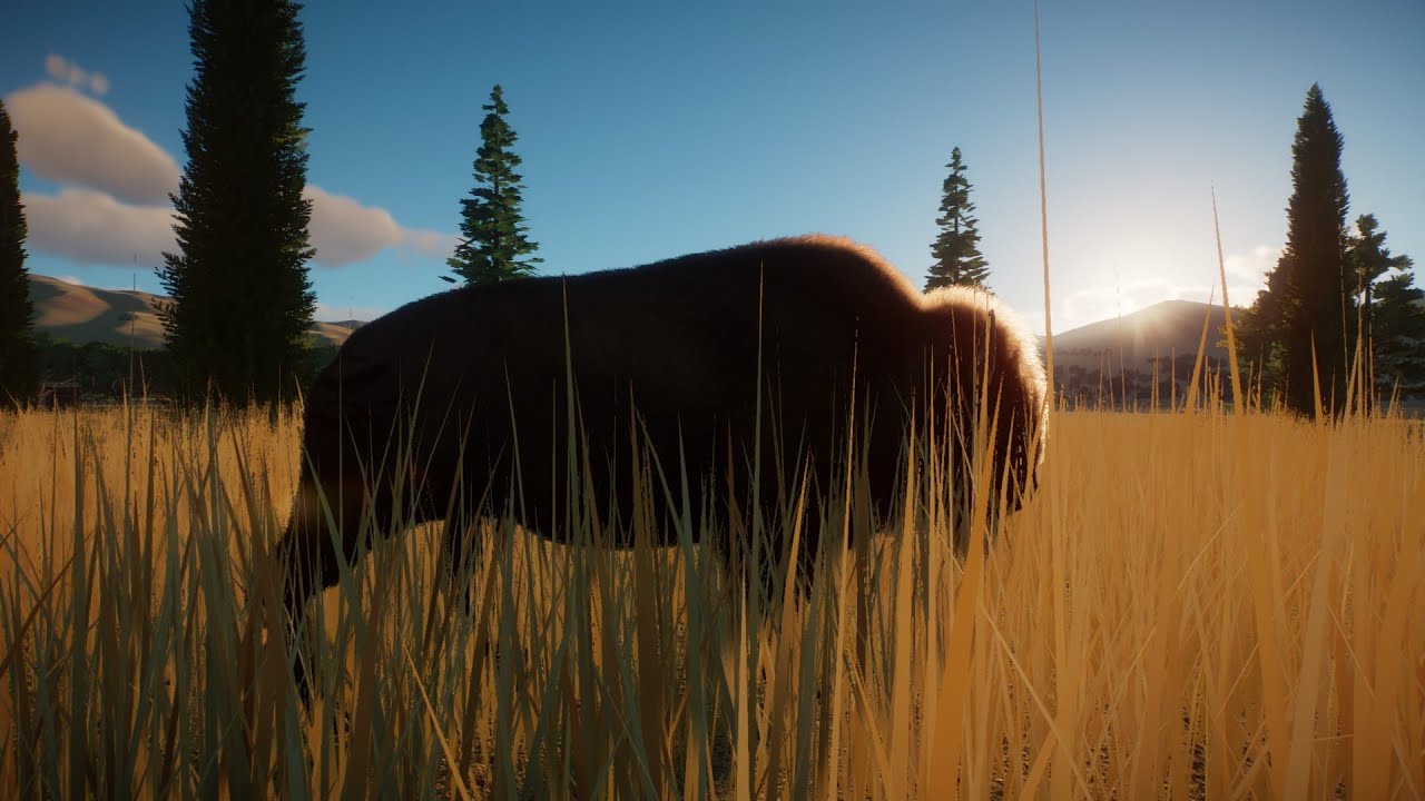 Bison Project The Bison Project Showcase Video 1 - YouTube