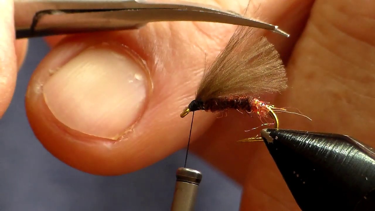 Viazanie s Pavlom Piljarom - Tmavohnedý potočník