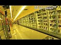 Man Is On Meth And Crawls into Grocery Store Ceiling, Ends Up Falling Through And Shoots At Police