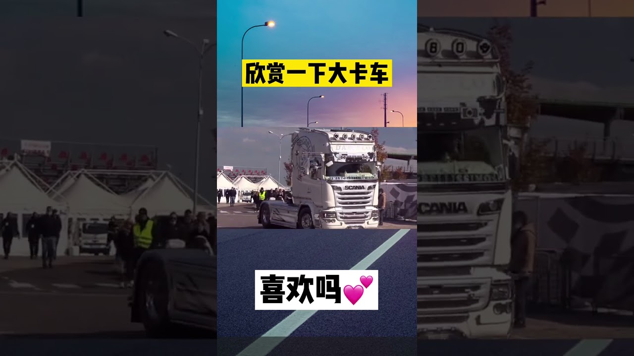 Side Tipper Truck Trailer,40ft Container Trailer