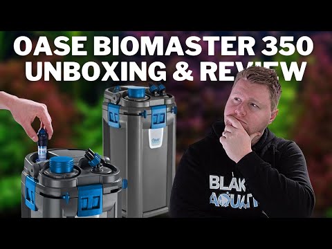 Oase Biomaster 350 Unboxing, Setup 7 Review - Worth the Money?