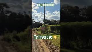 #colono #agronomia #roça