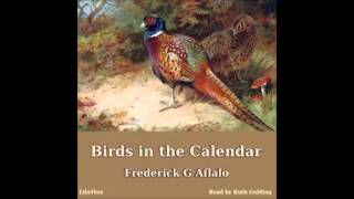 Birds in the Calendar FULL Book 02 -