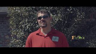 1st Choice Landscaping Intro