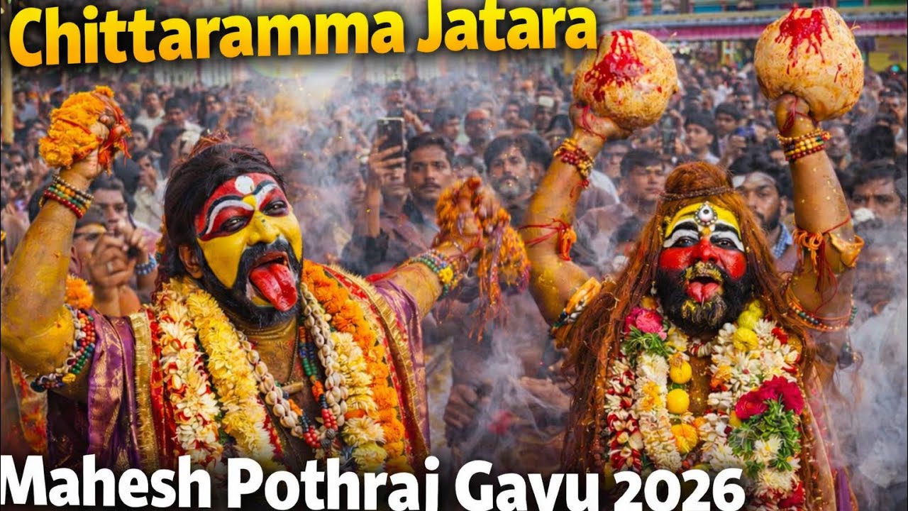 Chittaramma Jatara 2026 Mahesh Pothraj Gavu At Gajularamaram Chittaramma Jatara Full Massive Crowd 🔥