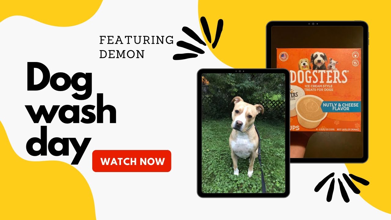 Dog wash Day + Nail trim