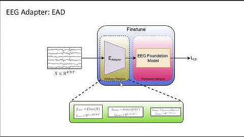 ICVGIP 2025 Paper ID 314 - On the Transferability of LaBraM: Evaluating Representations