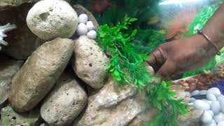 How to create a waterfall fountain in a molded aquarium -try it yourself
