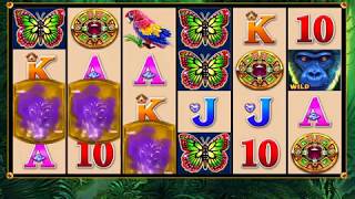 GORILLA KING Video Slot Casino Game with a FREE SPIN BONUS screenshot 4