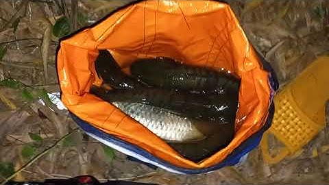 mai mọi người xem video ủng hộ mình nhé....kéo cá sướng tay