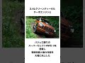 トヨタの独占を止めに日本上陸したクルマ　三菱　トライトンに関する雑学 #shorts