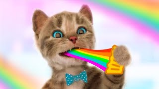 Little Kitten My Favorite Cat - Adventure Games Care for your pet kitty -A cute pet friend simulator screenshot 2