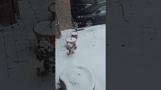 Why do I post every day?