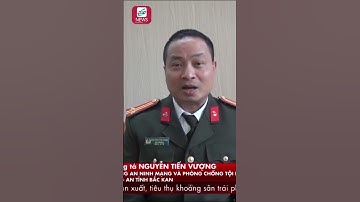 Cảnh Báo Lừa Đảo Nhờ Chuyển Tiền Có Video Call - Tin 60 Giây #shorts