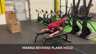 manna reverse plank hold: gymnastics programming