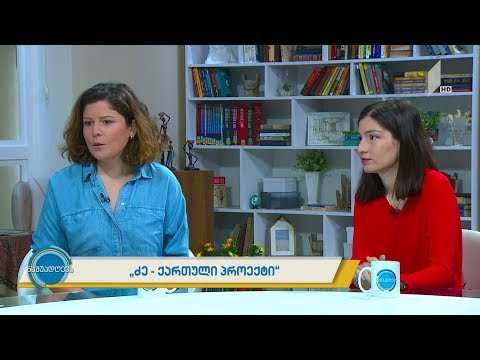 „ძე - ქართული პროექტი“