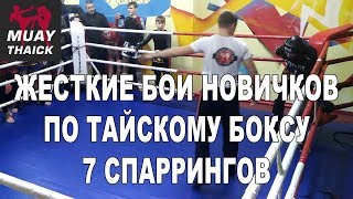 Жесткие бои новичков по тайскому боксу - открытый ринг (7 спаррингов) Жесткие бои новичков по тайскому боксу - открытый ринг (7 спаррингов)