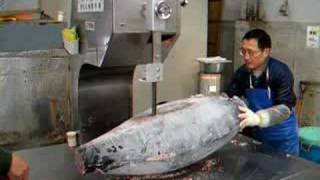 Tokyo Fish Market, slicing Tuna